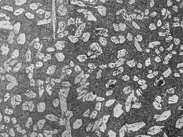 X200 metallographic Structure：1